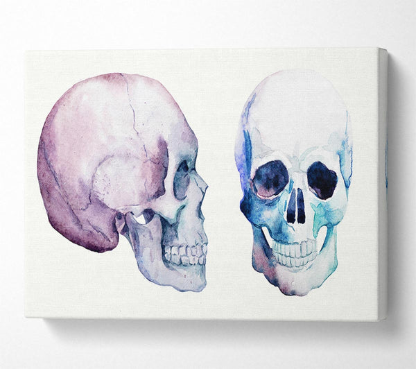  A Canvas Print of Two Skulls Meet Canvas Art