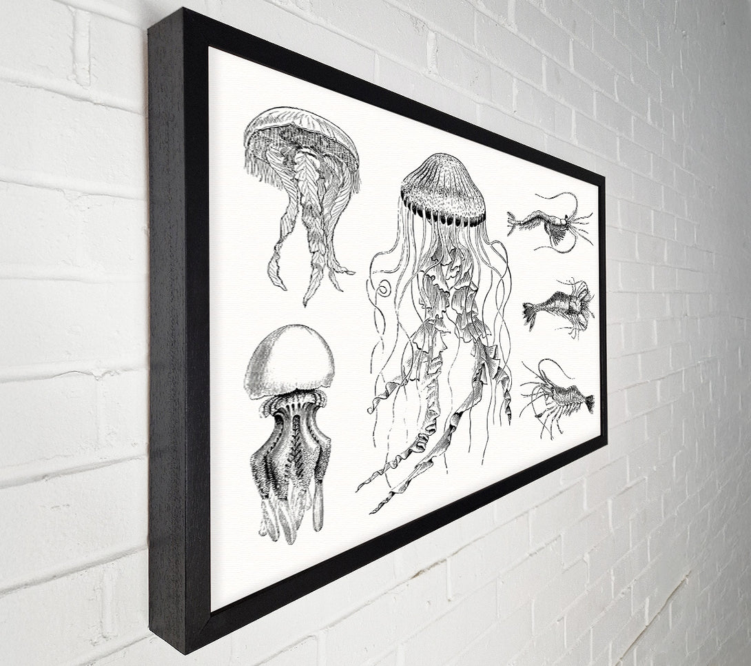  A Canvas Print of Jellyfish And Shrimp Canvas Wall Art