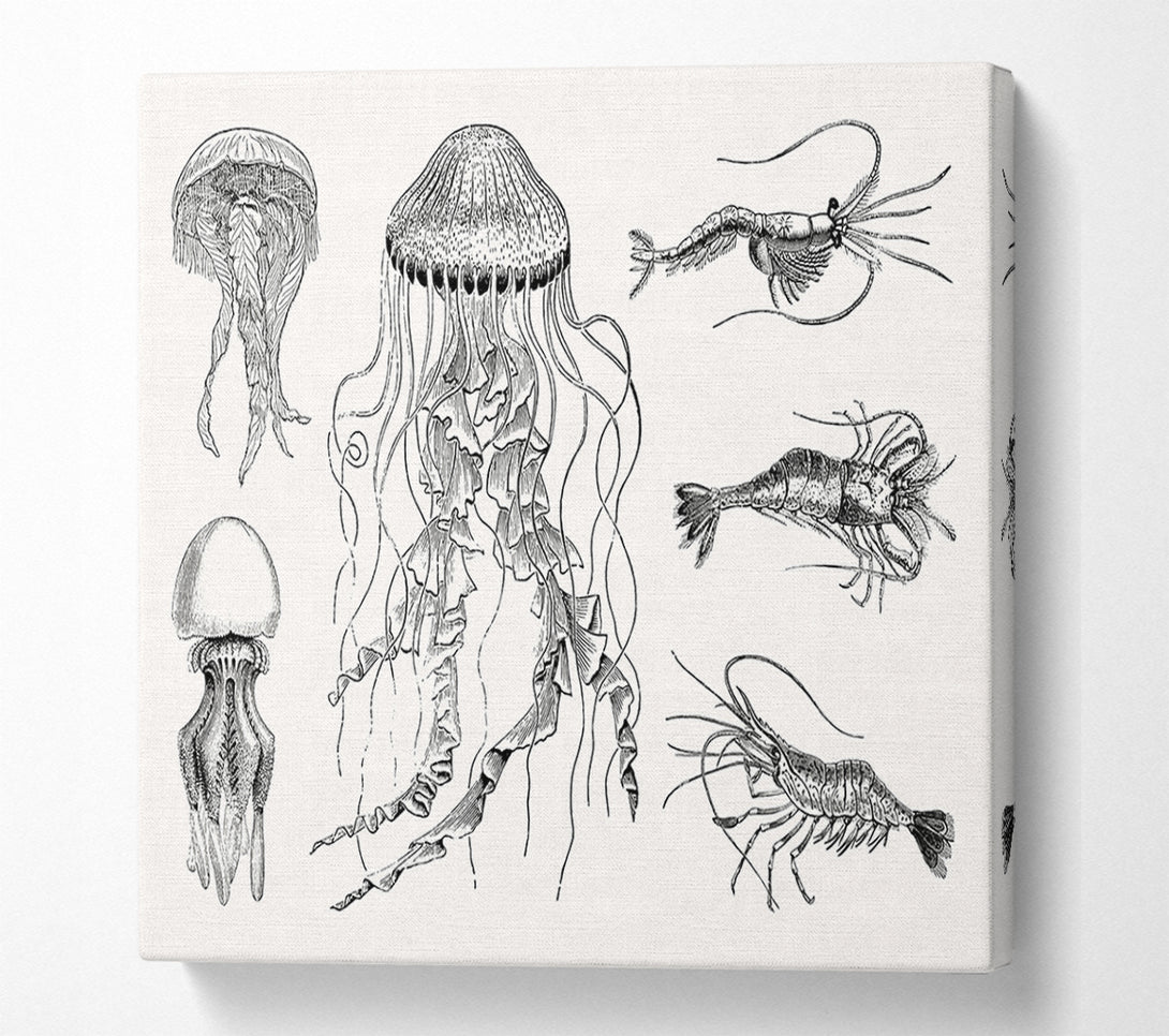  A Canvas Print of Jellyfish And Shrimp Canvas Wall Art