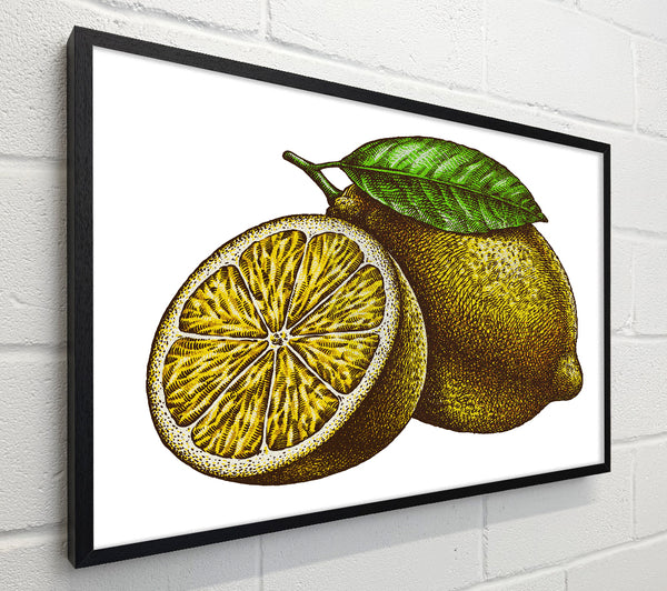 A Lemon Illustrated