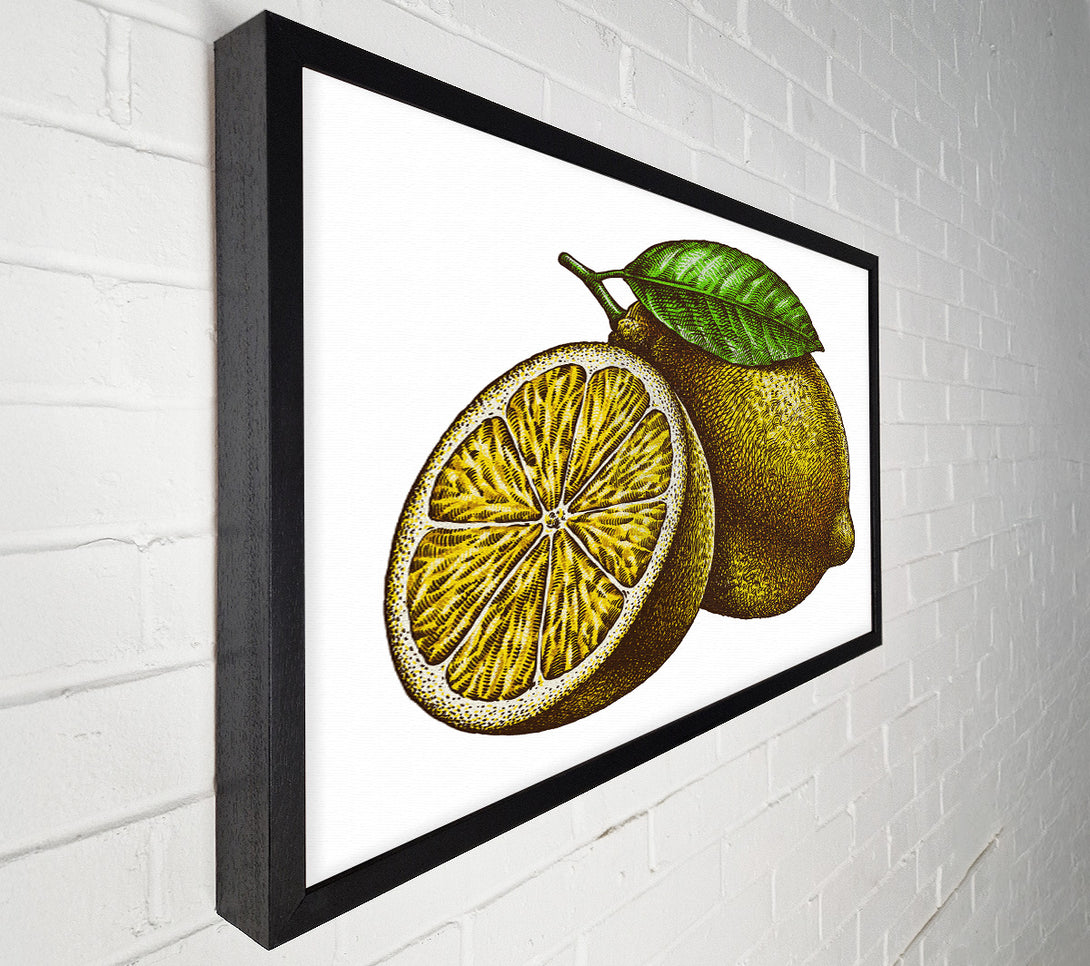  A Canvas Print of A Lemon Illustrated Canvas Wall Art