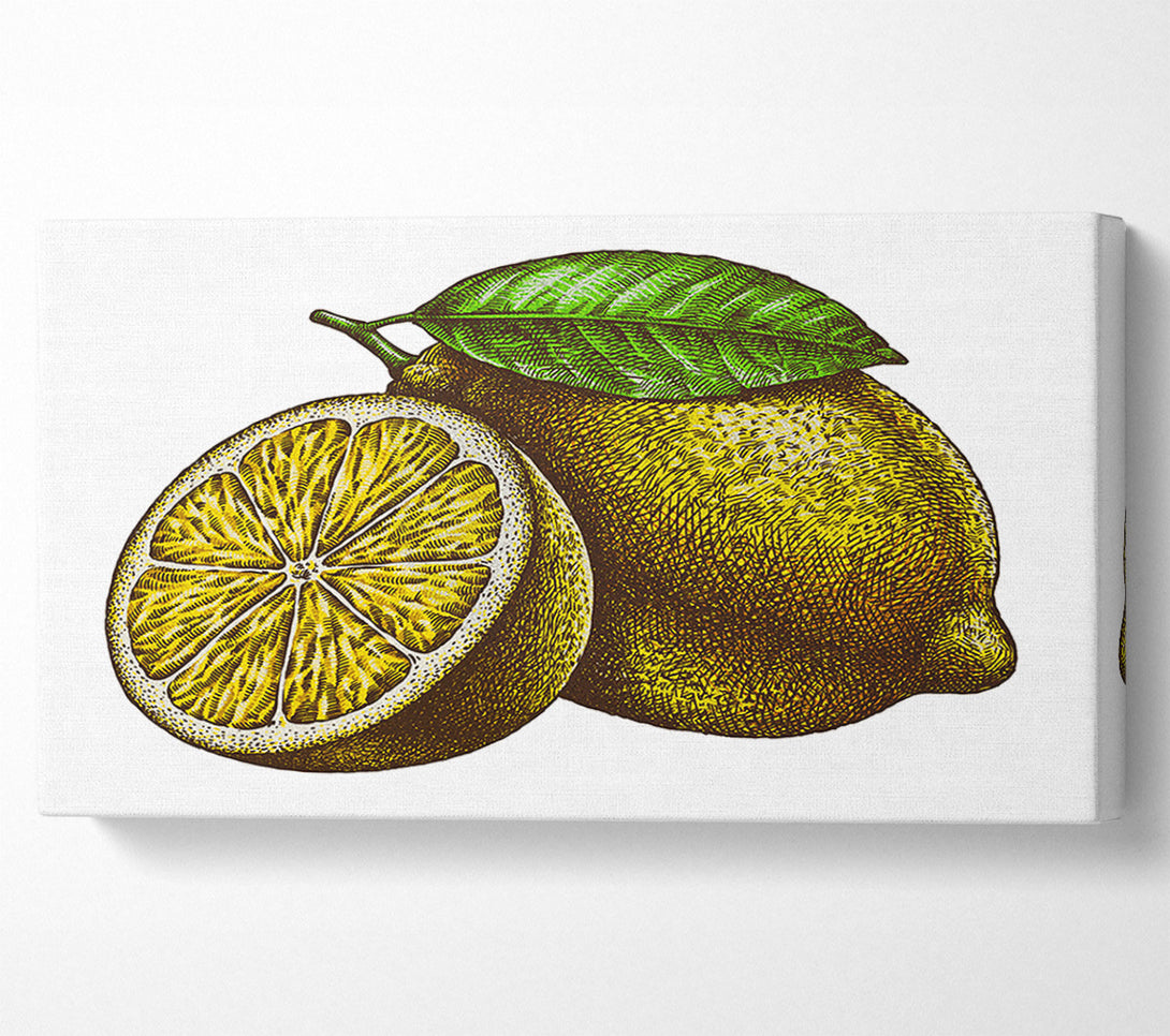  A Canvas Print of A Lemon Illustrated Canvas Wall Art