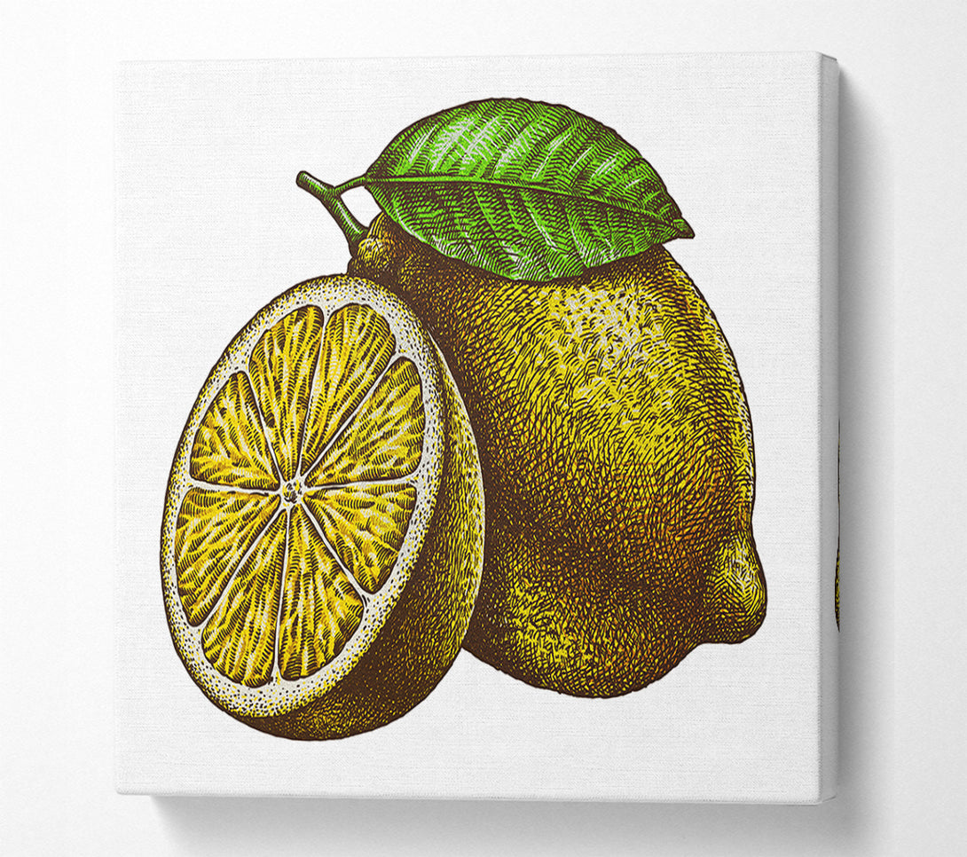  A Canvas Print of A Lemon Illustrated Canvas Wall Art