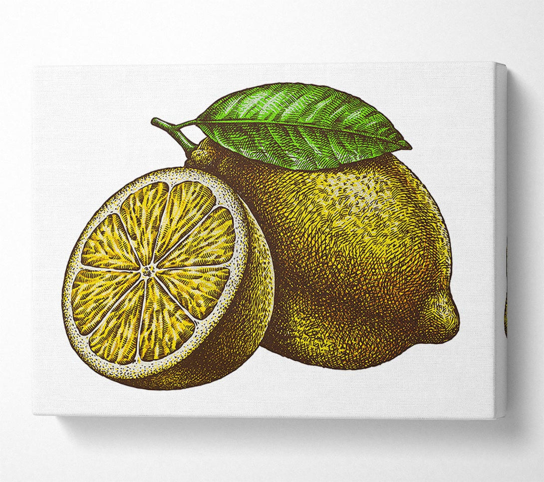  A Canvas Print of A Lemon Illustrated Canvas Wall Art