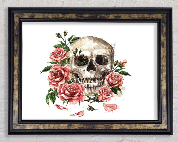 The Floral Skull Framed Print