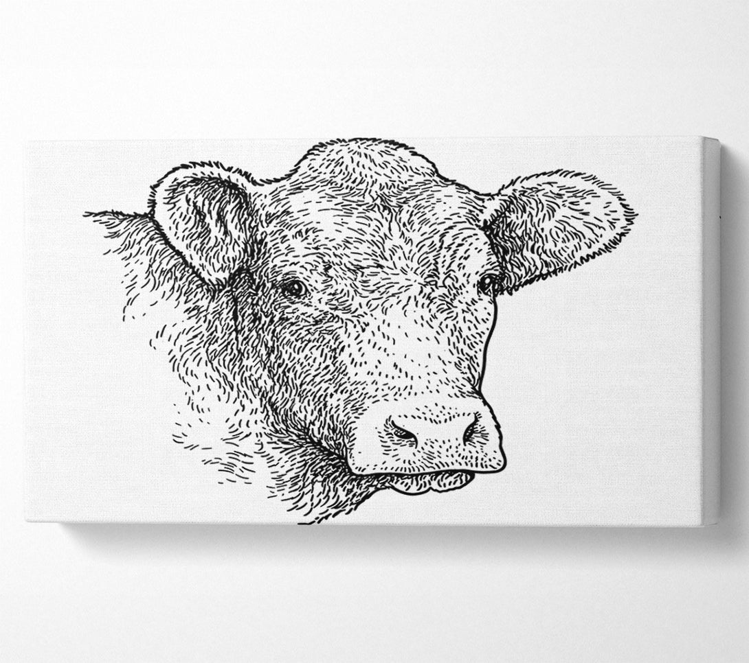  A Canvas Print of The Sketchy Cow Canvas Print