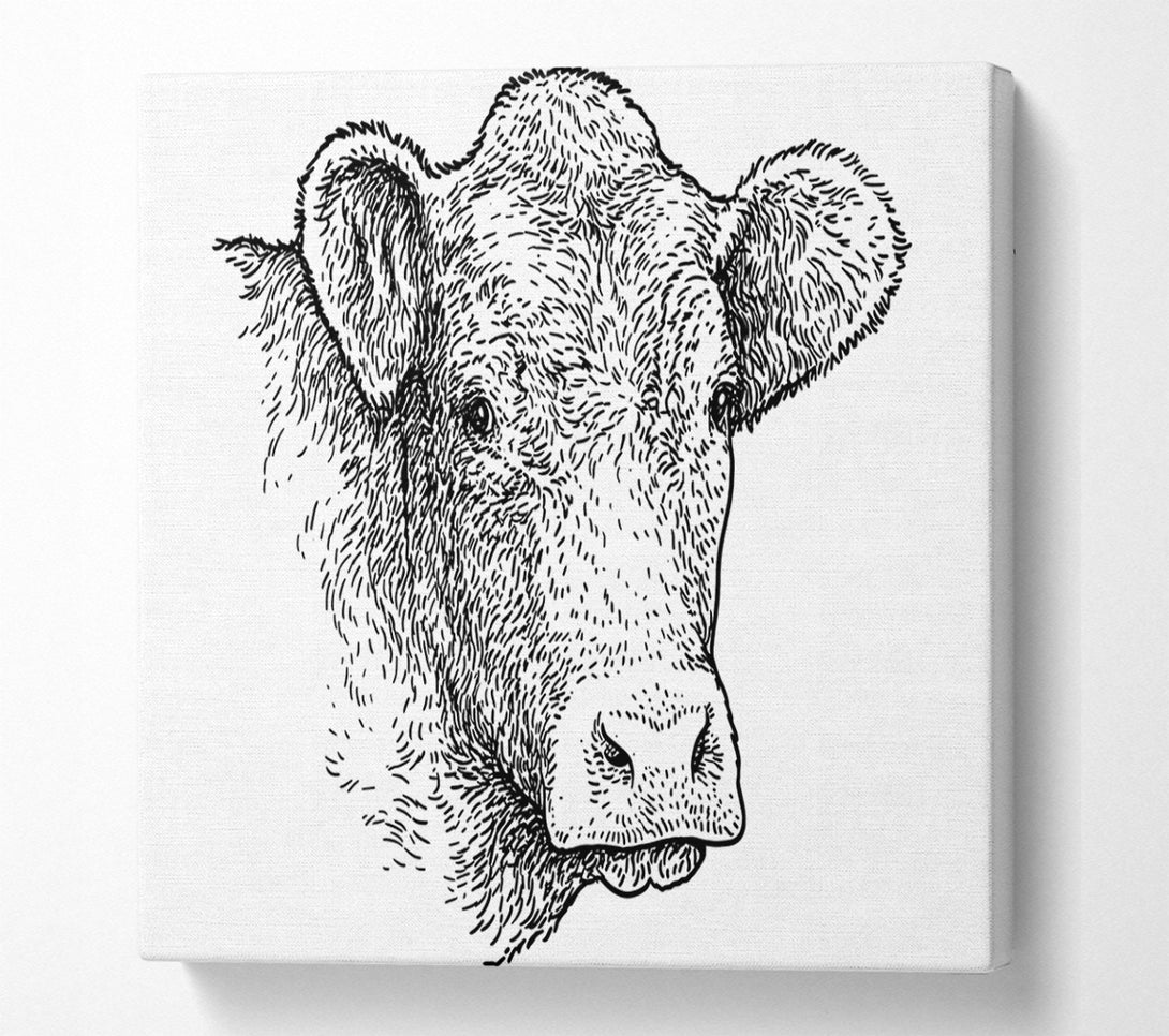  A Canvas Print of The Sketchy Cow Canvas Print