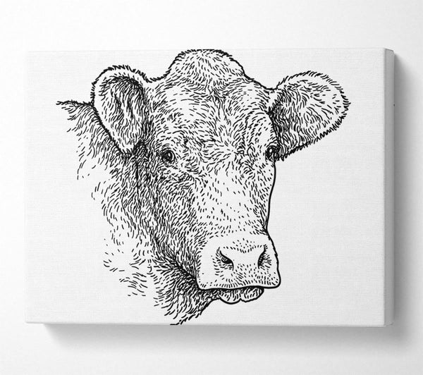  A Canvas Print of The Sketchy Cow Canvas Print