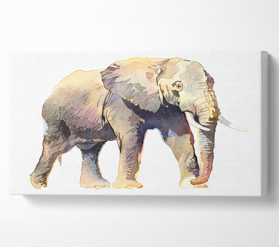  A Canvas Print of Humble Elephant Canvas Print