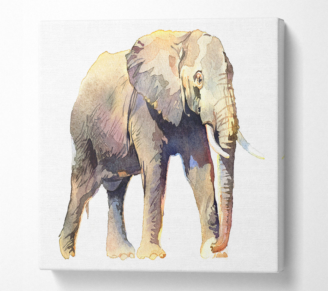  A Canvas Print of Humble Elephant Canvas Print