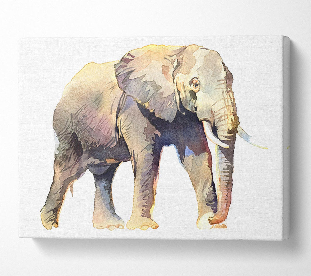  A Canvas Print of Humble Elephant Canvas Print