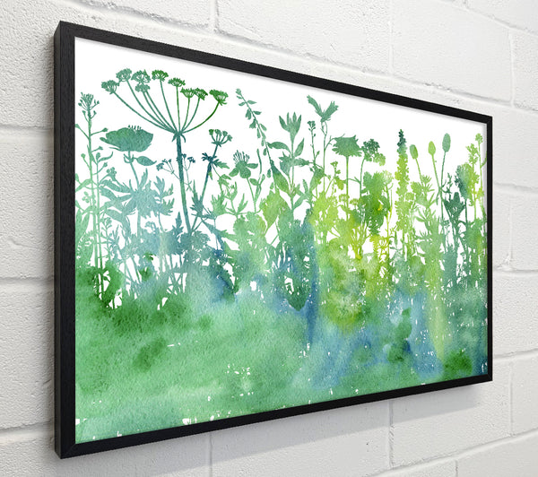 The Outline Of Flora