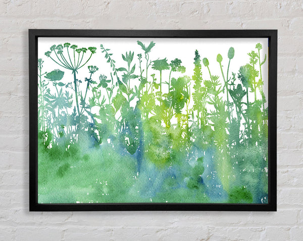 The Outline Of Flora Framed Print