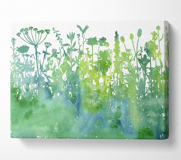  A Canvas Print of The Outline Of Flora Canvas Wall Art