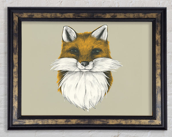 The Fox Face Framed Print
