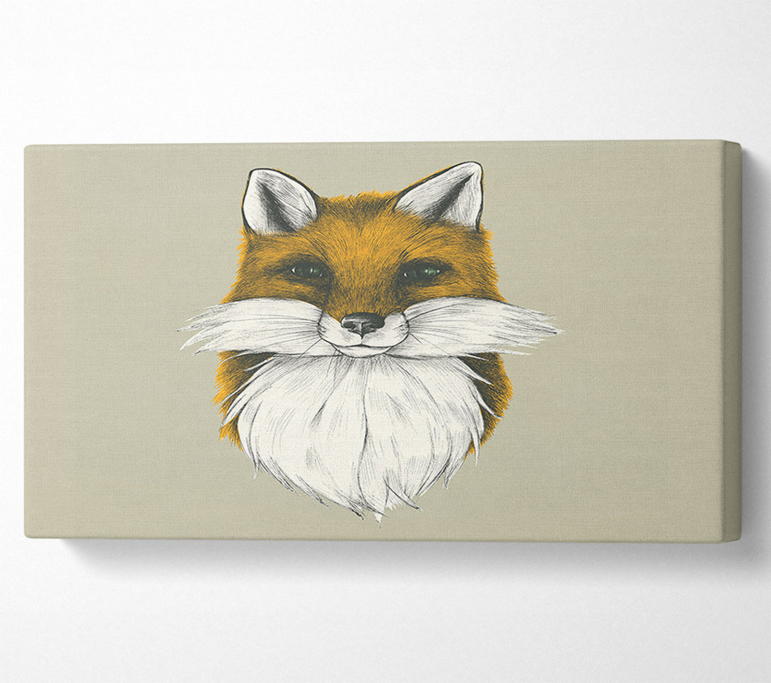  A Canvas Print of The Fox Face Canvas Print