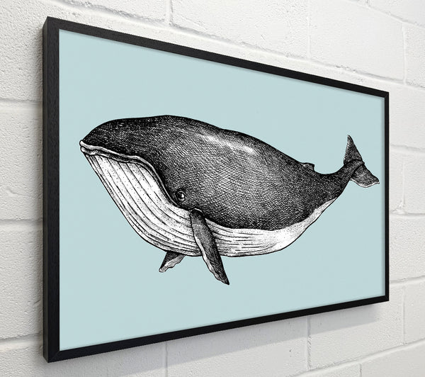Big Fat Whale