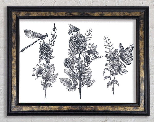 Britain'S Dragonfly And Plants Framed Print