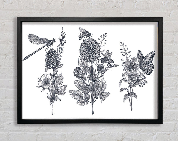 Britain'S Dragonfly And Plants Framed Print