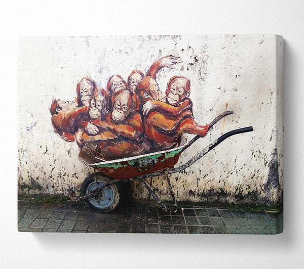  A Canvas Print of Orangutans In A Wheelbarrow Canvas Art