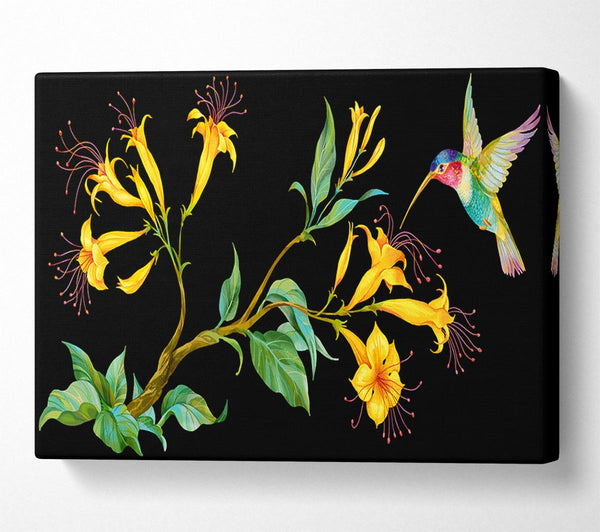  A Canvas Print of Trumpet Flower Hummingbird Canvas Wall Art