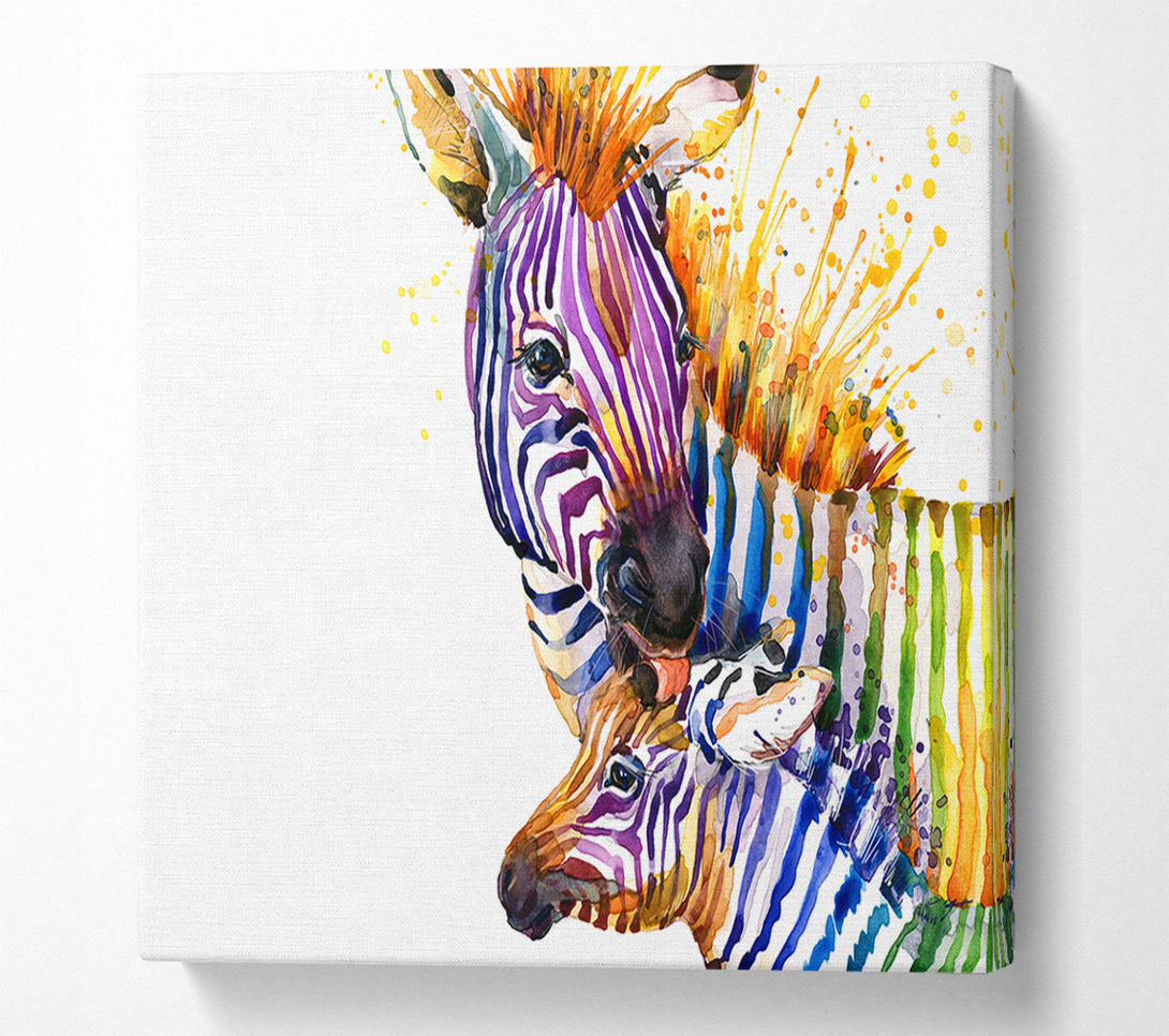  A Canvas Print of Zebra Paint Splatter Canvas Print