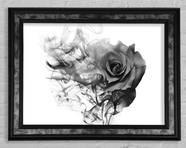 Rose To Smoke Framed Print