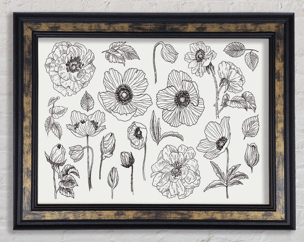 Hand Drawn Flowers Illustration Framed Print