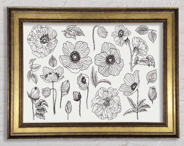 Hand Drawn Flowers Illustration Framed Print