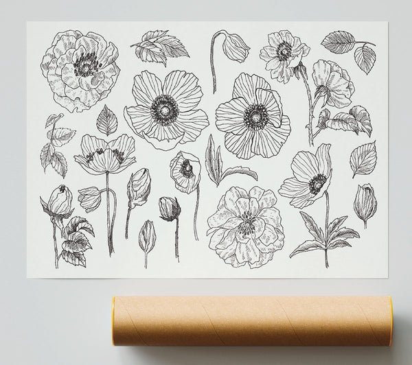Hand Drawn Flowers Illustration Print