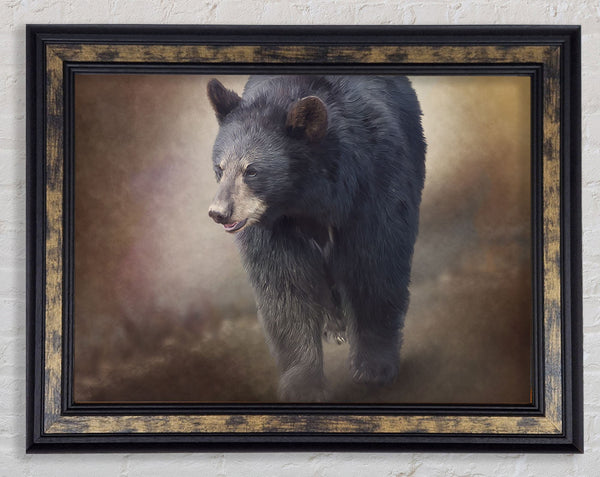 The Brown Bear Mist Framed Print