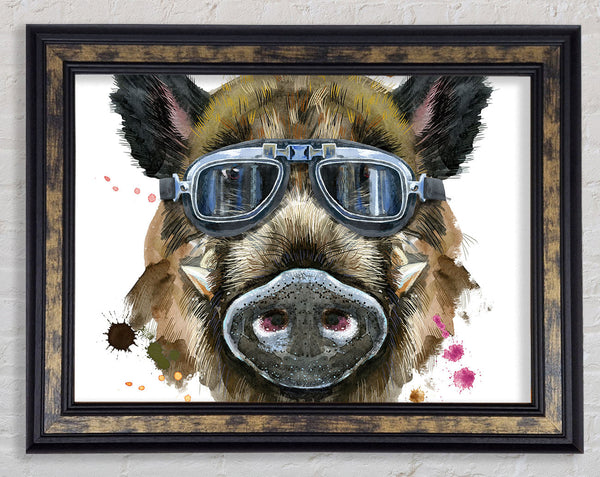 The Boar In Glasses Framed Print