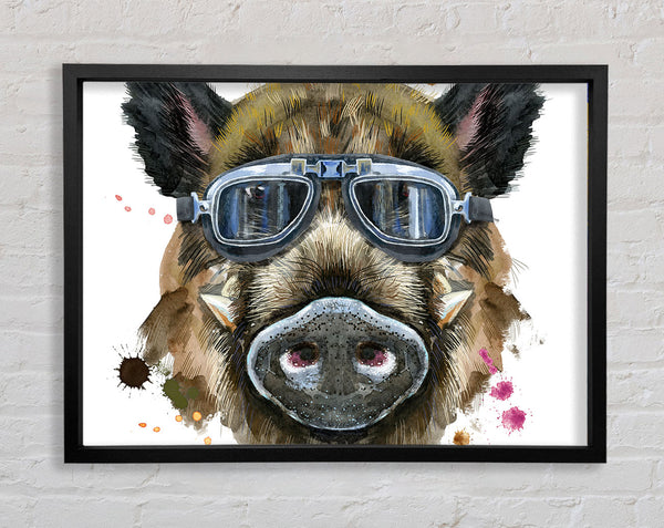 The Boar In Glasses Framed Print