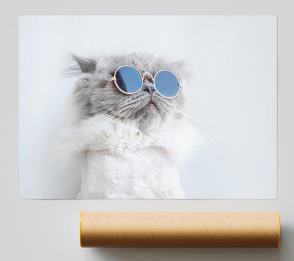 The Cat In Glasses Giclee Print