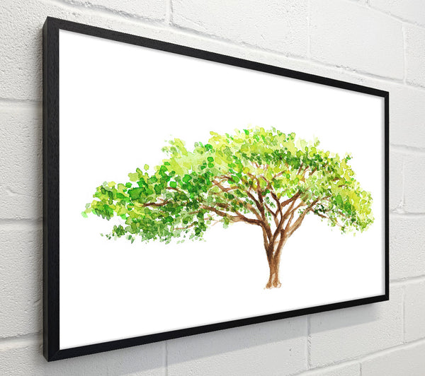 Green Tree In The Savannah