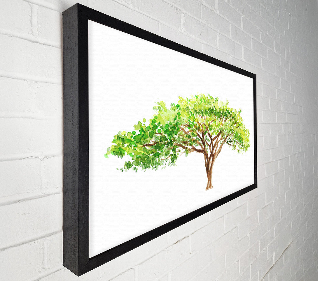  A Canvas Print of Green Tree In The Savannah Canvas Print