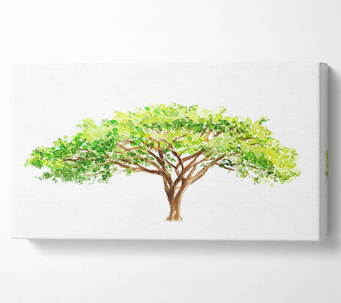  A Canvas Print of Green Tree In The Savannah Canvas Print