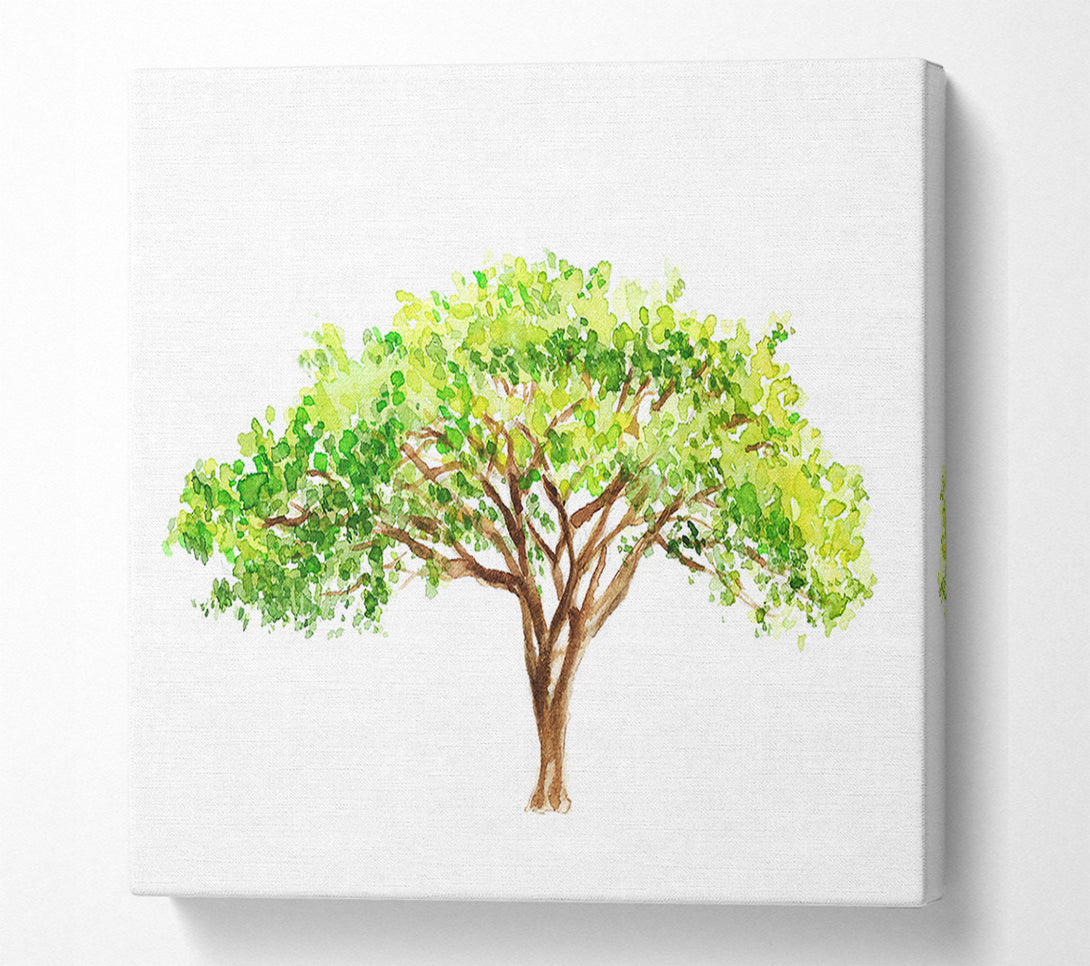  A Canvas Print of Green Tree In The Savannah Canvas Print