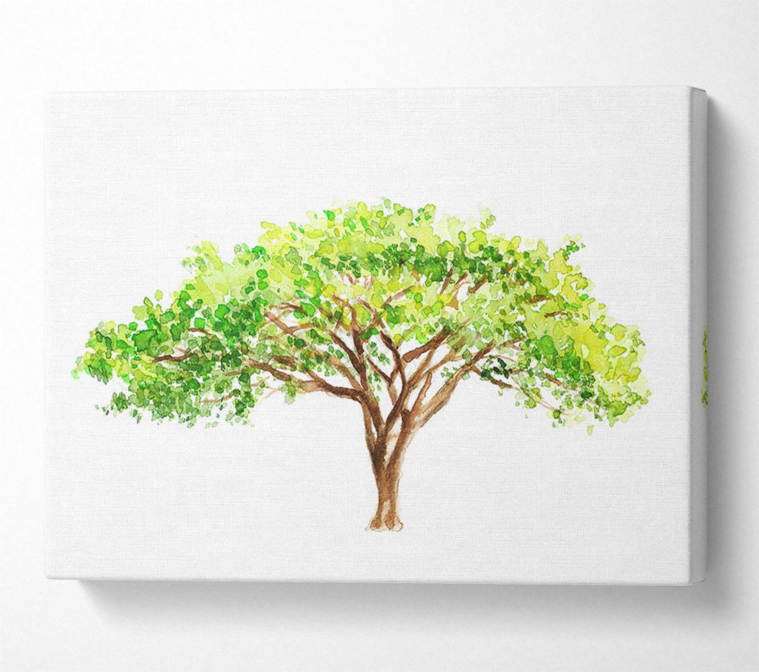  A Canvas Print of Green Tree In The Savannah Canvas Print