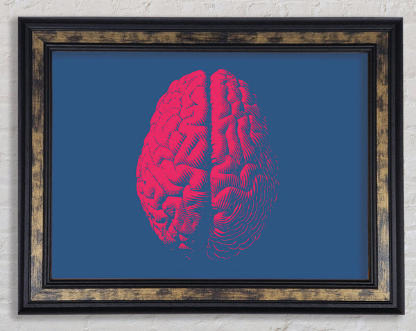 The Red Brain Framed Print