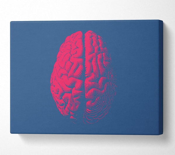  A Canvas Print of The Red Brain Canvas Wall Art