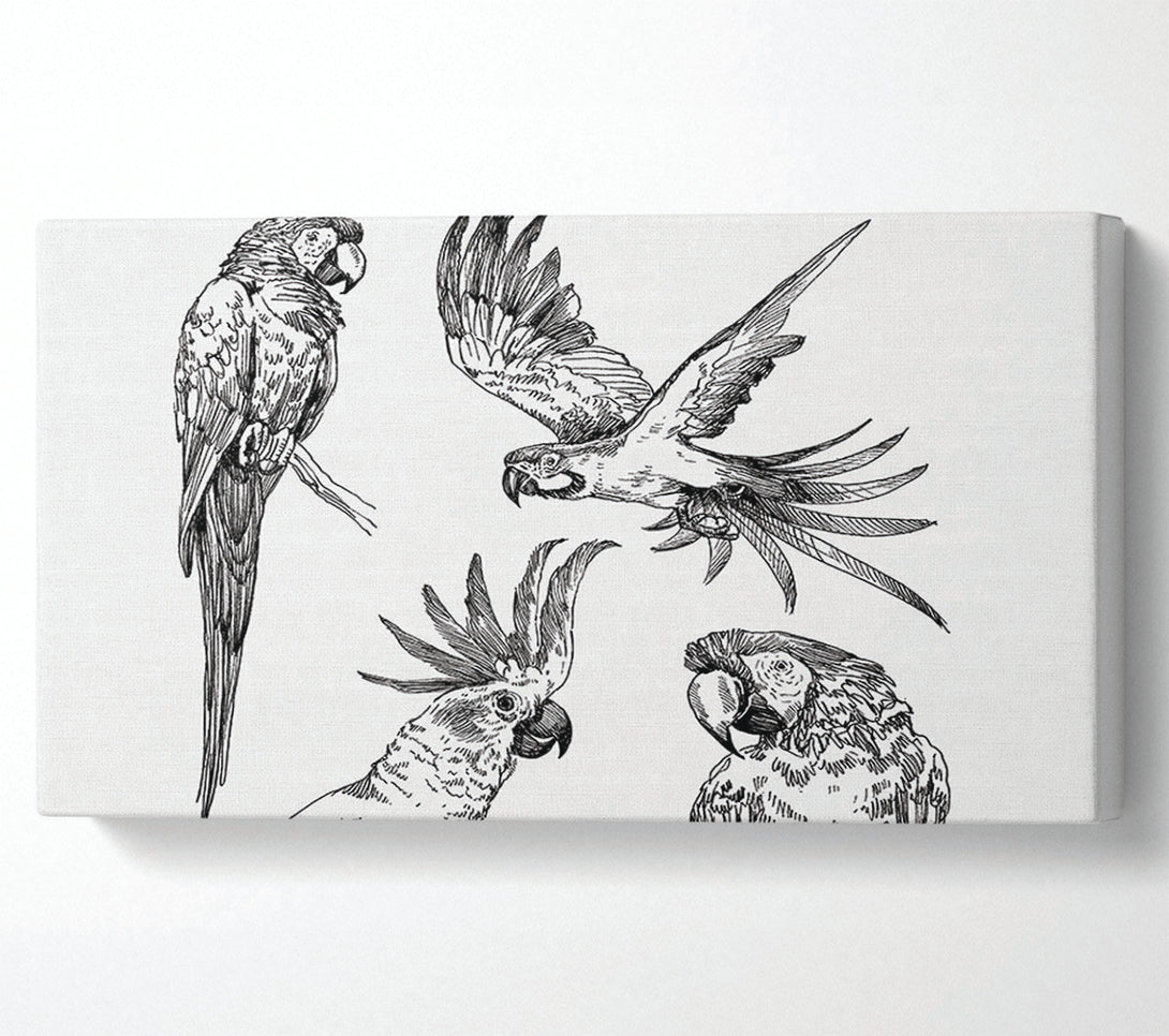 A Canvas Print of Parrots In Flight Illustration Canvas Wall Art