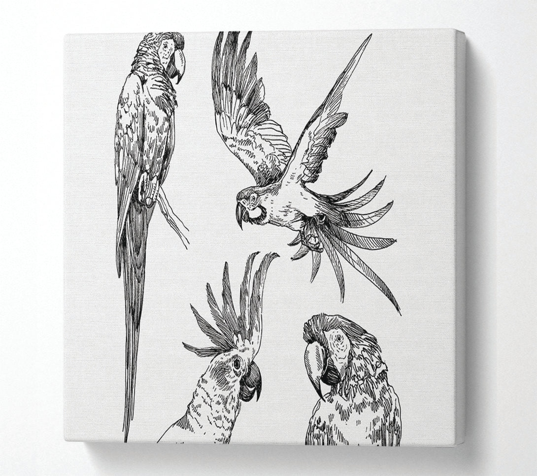  A Canvas Print of Parrots In Flight Illustration Canvas Wall Art