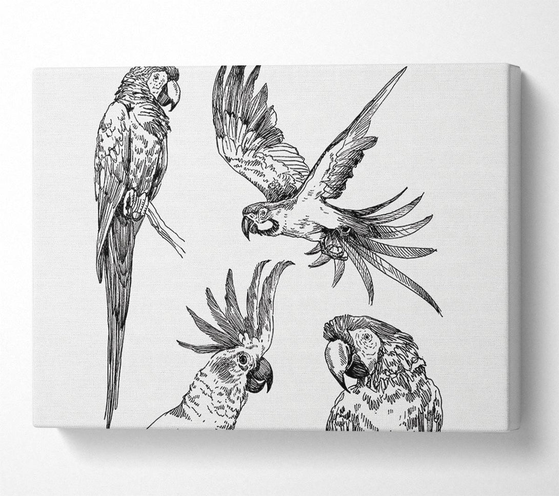  A Canvas Print of Parrots In Flight Illustration Canvas Wall Art