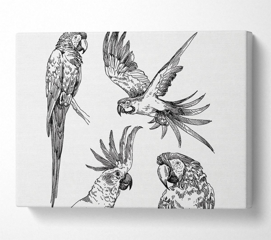  A Canvas Print of Parrots In Flight Illustration Canvas Wall Art