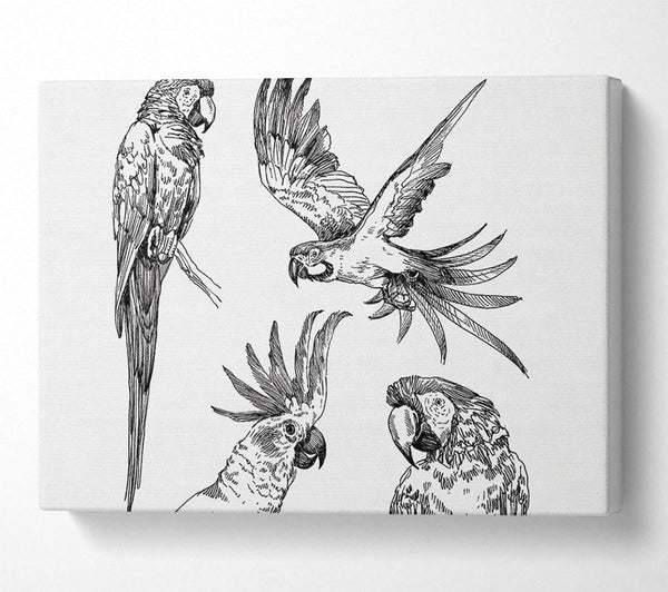  A Canvas Print of Parrots In Flight Illustration Canvas Wall Art