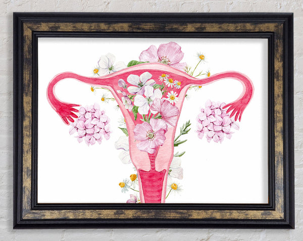 Floral Female Anatomy Framed Print