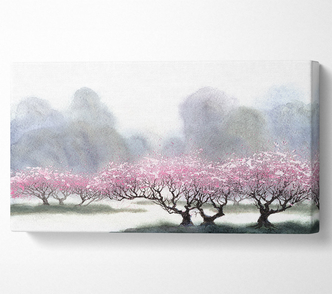  A Canvas Print of Pink Blossom Dusk Canvas Print