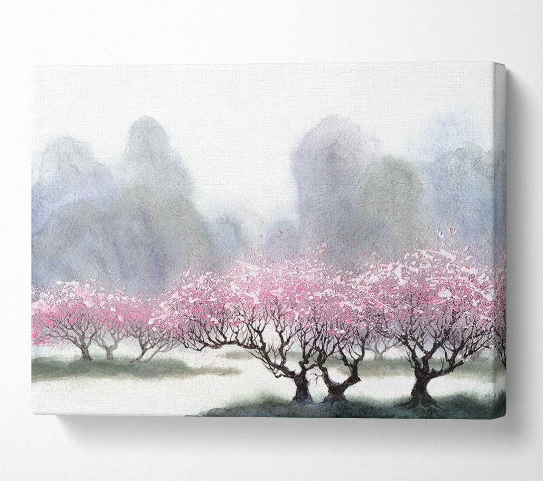  A Canvas Print of Pink Blossom Dusk Canvas Print