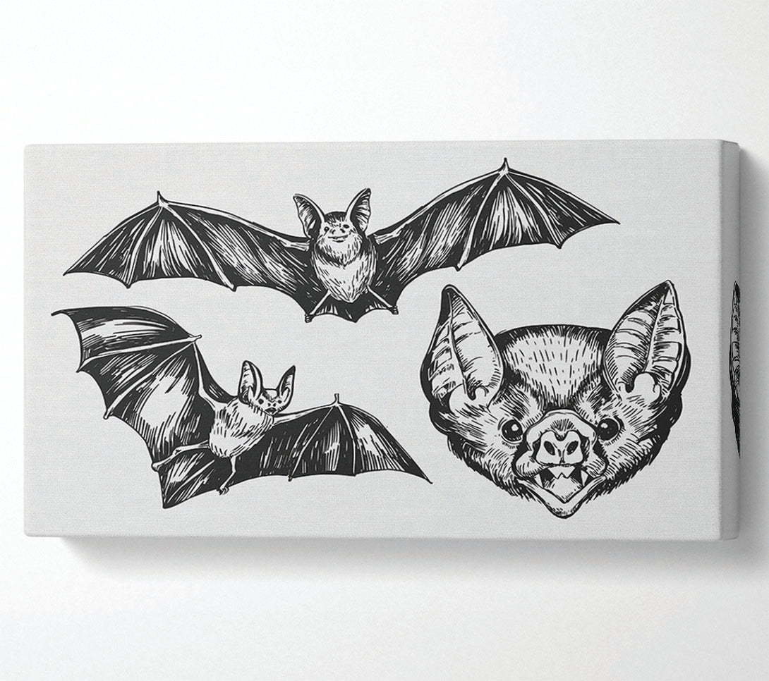  A Canvas Print of The Trio Of Bat Illustrations Canvas Art